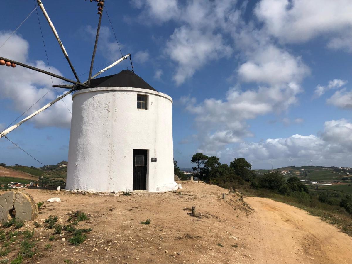 Traditional Portuguese Village House - Casa Martins No 52 Freiria المظهر الخارجي الصورة