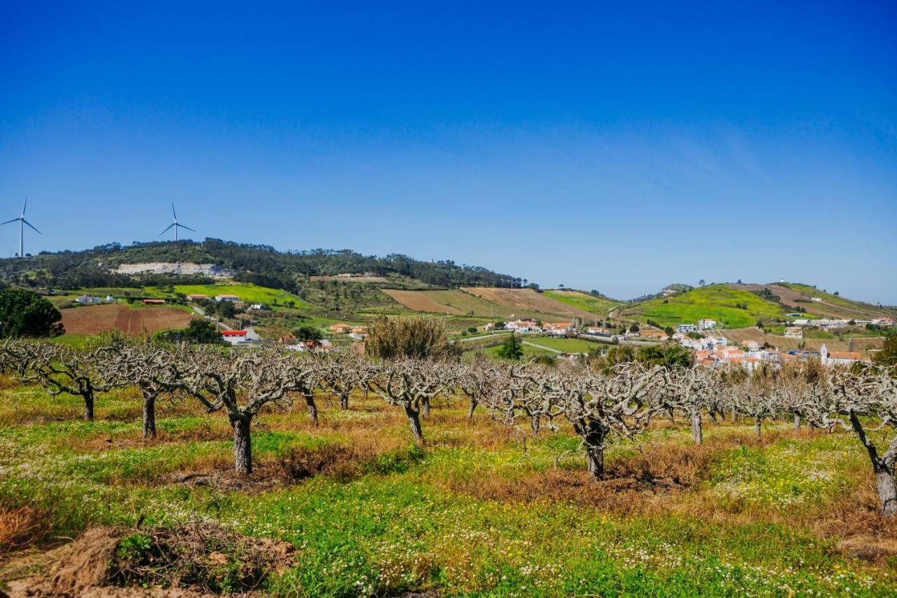 Traditional Portuguese Village House - Casa Martins No 52 Freiria المظهر الخارجي الصورة