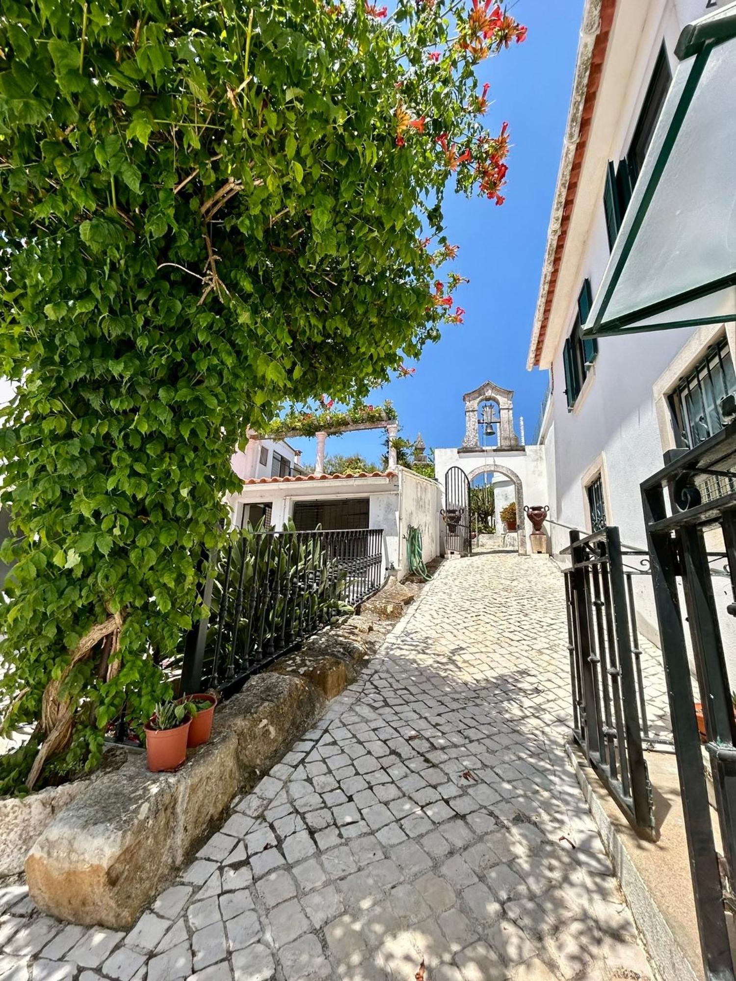 Traditional Portuguese Village House - Casa Martins No 52 Freiria المظهر الخارجي الصورة